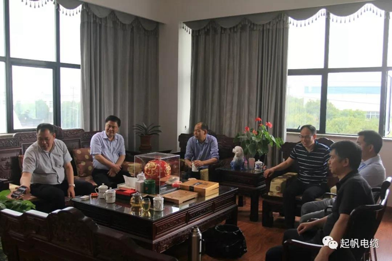 安徽省池州市市长雍成瀚等参观调研起帆电缆总部