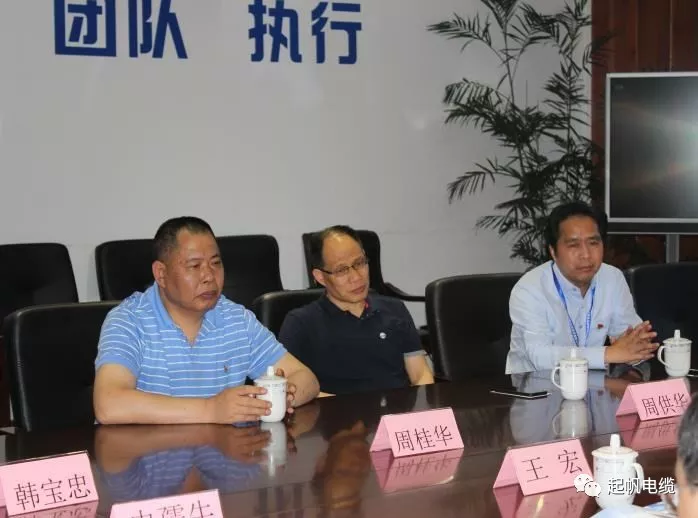 池州市委书记王宏等参观调研起帆电缆总部